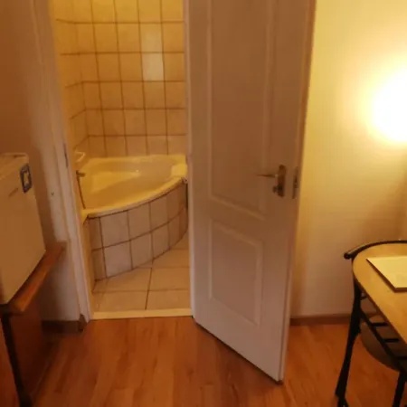 게스트하우스 Balaton Panzio Fonyód