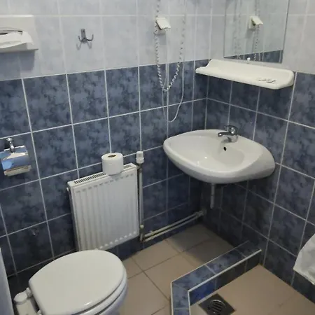 בית הארחה Balaton Panzio 3*