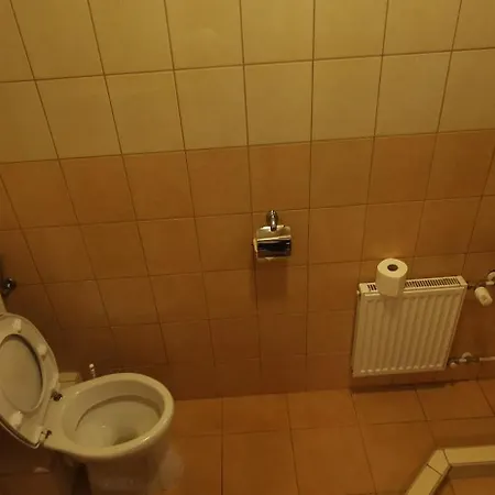 게스트하우스 Balaton Panzio 3*