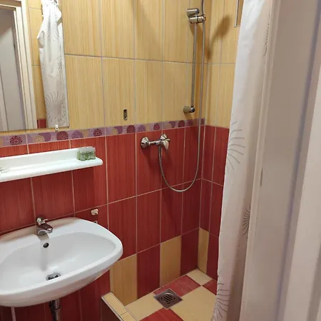 게스트하우스 Balaton Panzio Fonyód